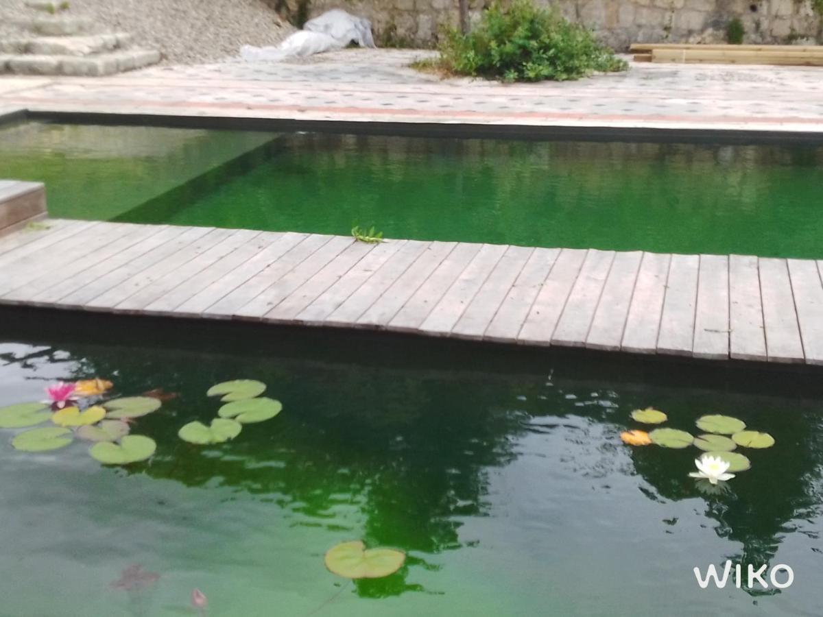 Gite Les Cabanes De Fallot Pour 15 Personnes - Piscine Naturelle L'isle-Bouzon Luaran gambar