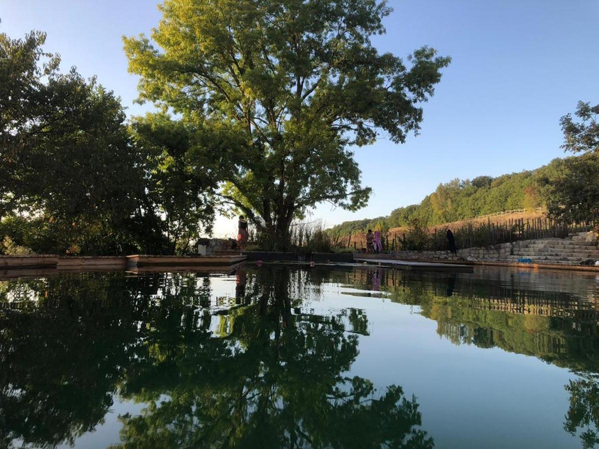 Gite Les Cabanes De Fallot Pour 15 Personnes - Piscine Naturelle L'isle-Bouzon Luaran gambar